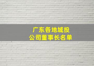 广东各地城投公司董事长名单