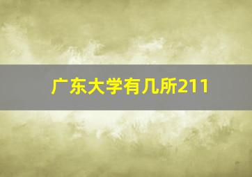 广东大学有几所211