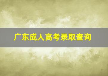 广东成人高考录取查询