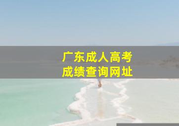 广东成人高考成绩查询网址