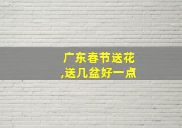 广东春节送花,送几盆好一点