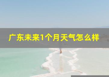 广东未来1个月天气怎么样