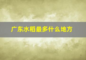 广东水稻最多什么地方