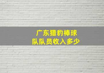 广东猎豹棒球队队员收入多少