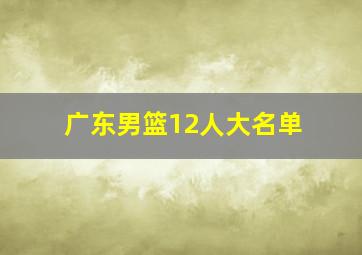 广东男篮12人大名单