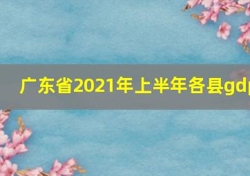 广东省2021年上半年各县gdp