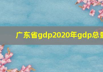 广东省gdp2020年gdp总量