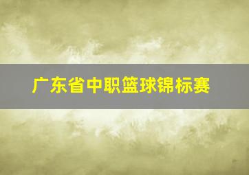 广东省中职篮球锦标赛