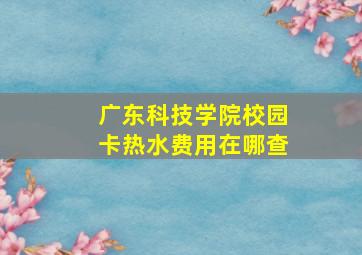 广东科技学院校园卡热水费用在哪查