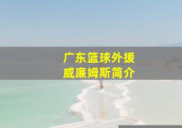 广东篮球外援威廉姆斯简介