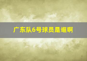 广东队6号球员是谁啊