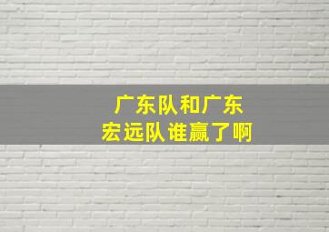 广东队和广东宏远队谁赢了啊