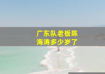 广东队老板陈海涛多少岁了