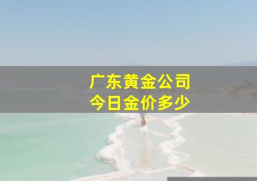 广东黄金公司今日金价多少