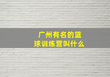 广州有名的篮球训练营叫什么