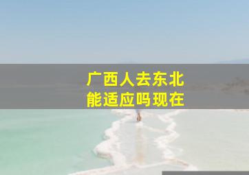 广西人去东北能适应吗现在