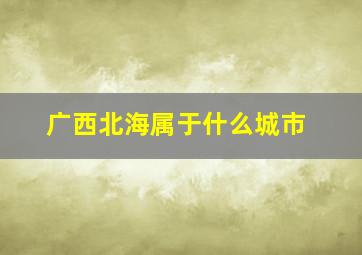 广西北海属于什么城市