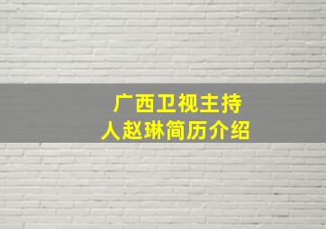 广西卫视主持人赵琳简历介绍