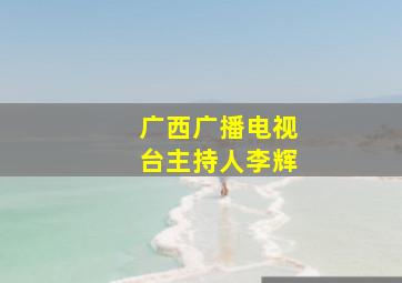 广西广播电视台主持人李辉