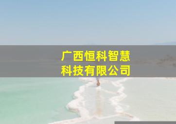 广西恒科智慧科技有限公司