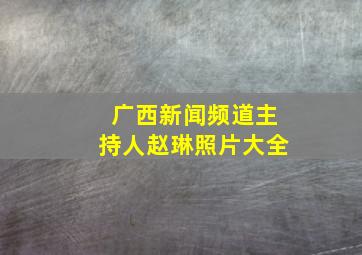 广西新闻频道主持人赵琳照片大全