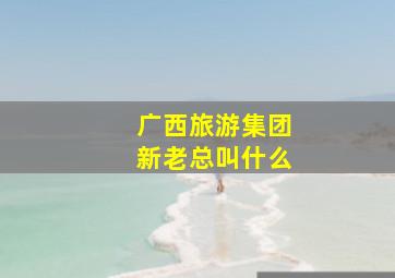 广西旅游集团新老总叫什么