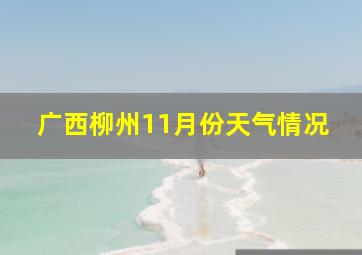 广西柳州11月份天气情况