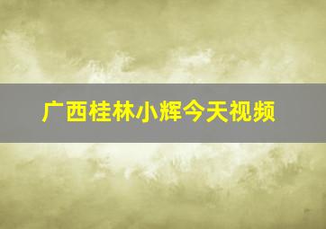 广西桂林小辉今天视频