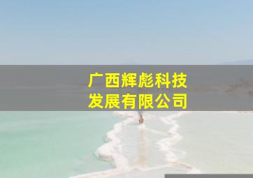 广西辉彪科技发展有限公司