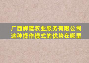 广西辉隆农业服务有限公司这种操作模式的优势在哪里