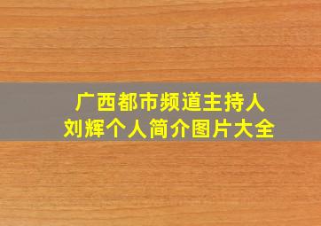 广西都市频道主持人刘辉个人简介图片大全