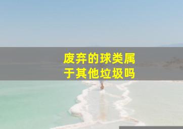 废弃的球类属于其他垃圾吗