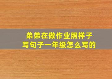 弟弟在做作业照样子写句子一年级怎么写的