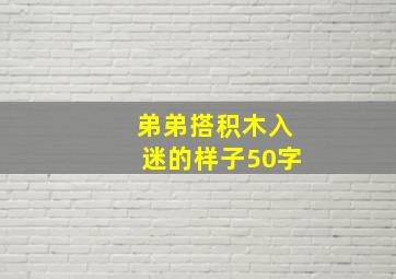 弟弟搭积木入迷的样子50字