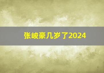 张峻豪几岁了2024