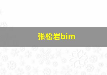 张松岩bim