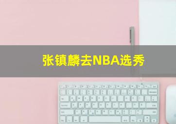 张镇麟去NBA选秀