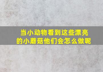 当小动物看到这些漂亮的小蘑菇他们会怎么做呢