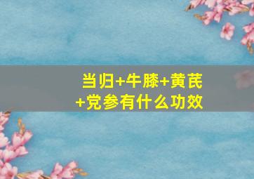 当归+牛膝+黄芪+党参有什么功效