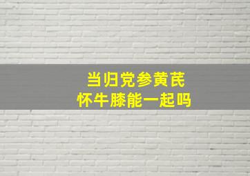 当归党参黄芪怀牛膝能一起吗