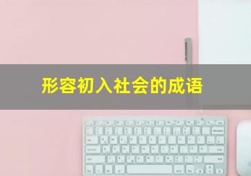 形容初入社会的成语