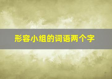 形容小组的词语两个字