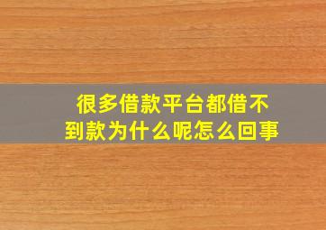 很多借款平台都借不到款为什么呢怎么回事