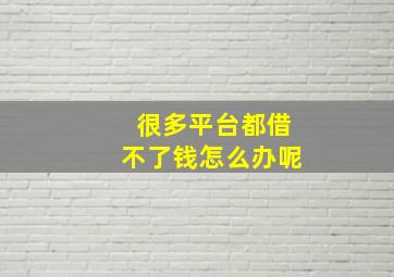 很多平台都借不了钱怎么办呢