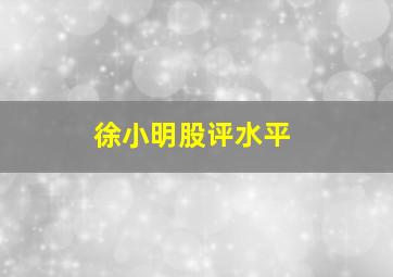 徐小明股评水平