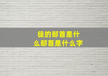 徒的部首是什么部首是什么字