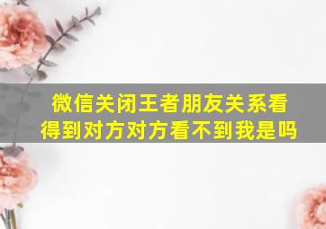 微信关闭王者朋友关系看得到对方对方看不到我是吗