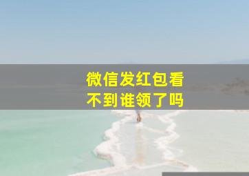 微信发红包看不到谁领了吗