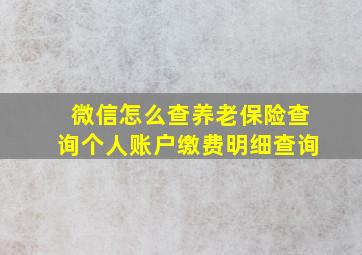 微信怎么查养老保险查询个人账户缴费明细查询