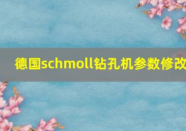 德国schmoll钻孔机参数修改